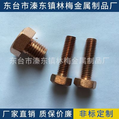 T2紫铜螺栓M12*16-100外六角，螺母，垫片，丝杆，内六角，U型卡图2