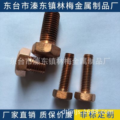 T2紫铜螺栓M12*16-100外六角，螺母，垫片，丝杆，内六角，U型卡图4