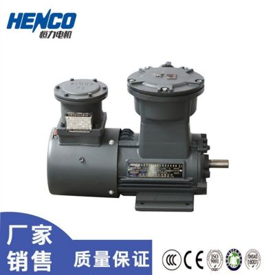 恒力YBBP变频调速三相异步电动机 隔爆型变频电机图4