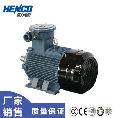 恒力YBX3隔爆型三相异步电动机 气体粉尘防爆电机图4