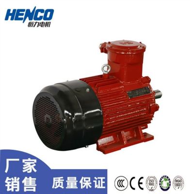 恒力YBX4隔爆型三相异步电动机 煤矿用防爆变频电机图2