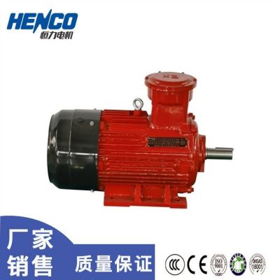 恒力YBX4隔爆型三相异步电动机 煤矿用防爆变频电机图5