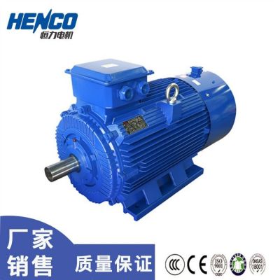 恒力YVF2节能变频三相异步电动机 噪声低 调速性能好图3