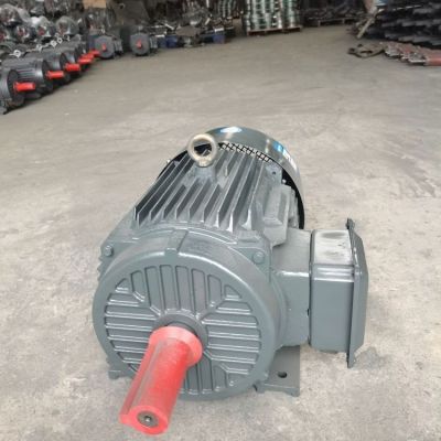 得力特电 机厂家安全防爆高效率三相异步电机机YE2-200L-4 30kw-4级图2