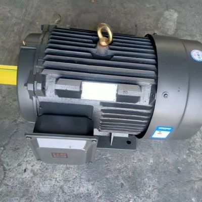 高效率三相异步电机机YE2-315L2-4200kw-4级图4