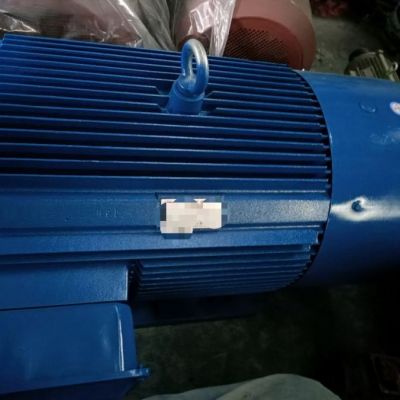 高效率三相异步电机机YE2-315L2-4200kw-4级图2
