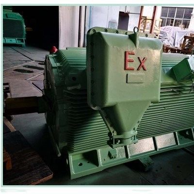 品莘YB3-560-4 CT4高压防爆电机图2