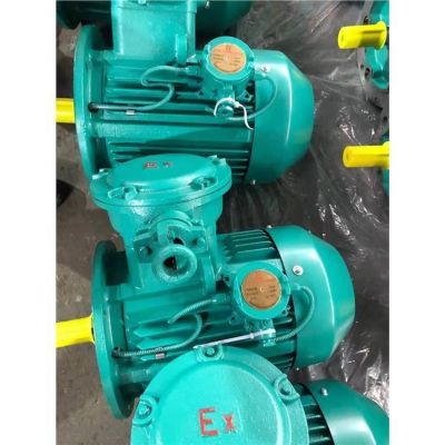 济南全新变频电机 YBX4防爆电机价格图3