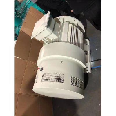 济南全新变频电机 YBX4防爆电机价格图4