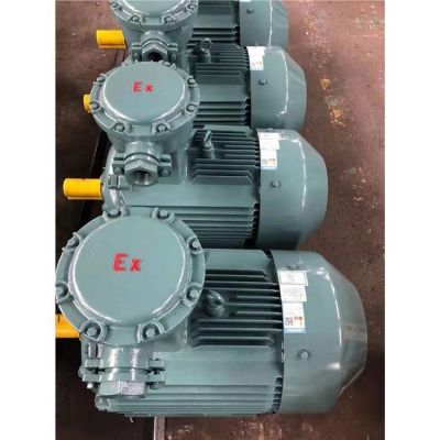 济南全新变频电机 YBX4防爆电机价格图2