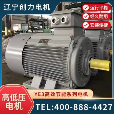 YE3超高效率节能电机 三相异步交流电动机 国标全铜 可按需定制图5