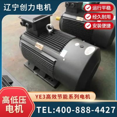 YE3超高效率节能电机 三相异步交流电动机 国标全铜 可按需定制图2