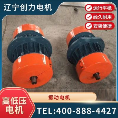 全新立式粉尘防爆电动机 2级4级6级三相异步马达 大速定制电机图3