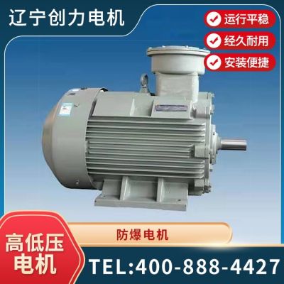 全新立式粉尘防爆电动机 2级4级6级三相异步马达 大速定制电机图2
