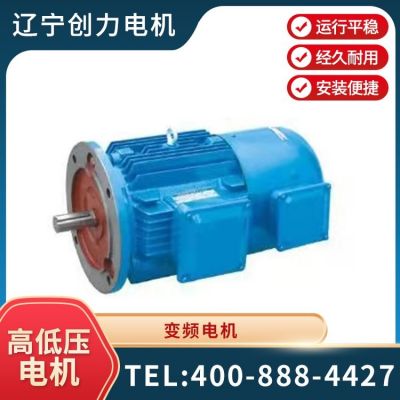 全新立式粉尘防爆电动机 2级4级6级三相异步马达 大速定制电机图5