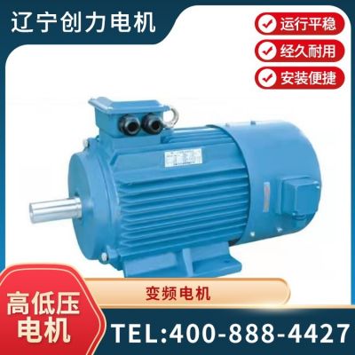 全新立式粉尘防爆电动机 2级4级6级三相异步马达 大速定制电机图4