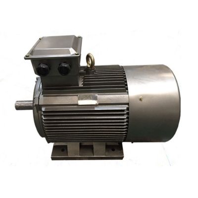 动力强劲 规格齐全 Y2系列低压铸铁TEFC高效三相异步感应电动机图4