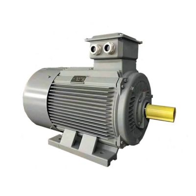 动力强劲 规格齐全 Y2系列低压铸铁TEFC高效三相异步感应电动机图3