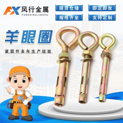 羊眼圈膨胀螺栓 O型拉爆内膨胀螺丝 带圈吊环灯勾 镀彩膨胀管壁虎