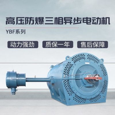 YBF系列高压防爆电动机全铜线圈力超电机防爆型三相异步电机图2