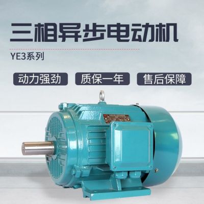 变频调速YE3电动机全铜低噪音三相异步电机减速机图3