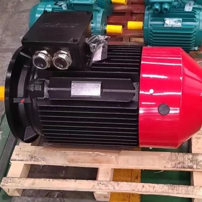 YE5系列三相异步电机 应用广泛 反馈良好 盛之豪出品图4