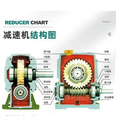 厂家供应规格多样WP涡轮蜗杆减速机 小型齿轮变速箱减速器图4