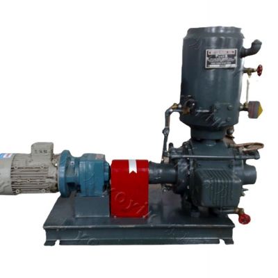 真空泵WS-30 配减速机及电机东方一力-图2