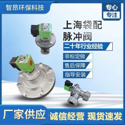 袋式速联脉冲阀6分1寸1.5寸DMF-ZM-40系列大螺母直角式喷吹电磁阀图3