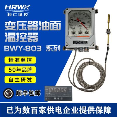 BWY-803AG(TH) 变压器温度指示控制器 油面温度计 桓仁温度测控