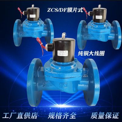 ZCS水用电磁阀 DF消防电磁水阀 暖通控制阀 工厂店直供DN25-300图4