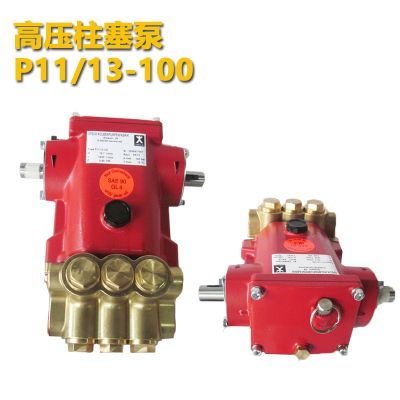 德国Speck斯贝克 高压柱塞泵P11/13-100 P11系列高温泵图2