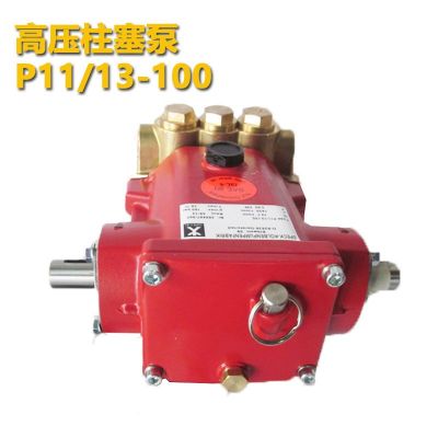德国Speck斯贝克 高压柱塞泵P11/13-100 P11系列高温泵图3