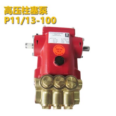 德国Speck斯贝克 高压柱塞泵P11/13-100 P11系列高温泵图4