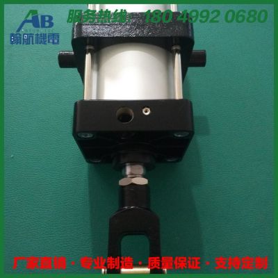 上海厂家 SMC型 MBB标准直径125气缸 带中摆TC 气缸和Y接头图2