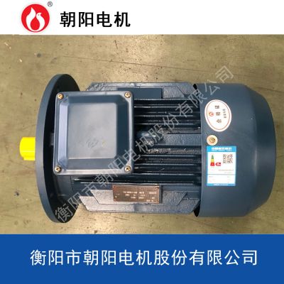 水泵电机YE3-280M-2-90kw湖南朝阳电机高效率云南三相异步电动机