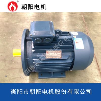 水泵电机YE3-280M-2-90kw湖南朝阳电机高效率云南三相异步电动机图2