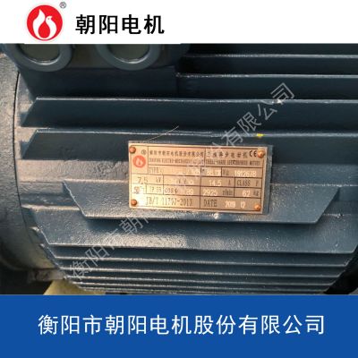 水泵电机YE3-280M-2-90kw湖南朝阳电机高效率云南三相异步电动机图4