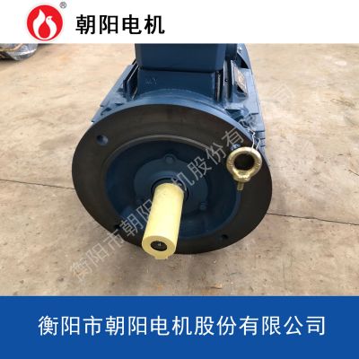 三相电机YE3-355M2-6极-185kw朝阳电动机大功率三相异步电动机图2