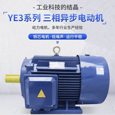 厂家批发三相异步电动机11千瓦Y3-160M变频电机交流高速电动马达图2