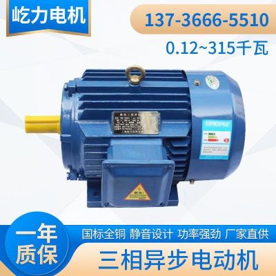 厂家供应YE2-2.2千瓦三相异步电动机 Y100L1-4电机 国标铜线马达图3