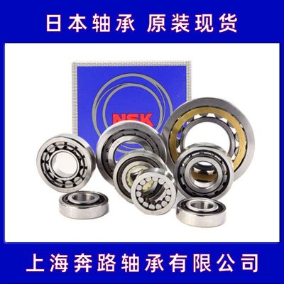 NU304轴承 nskNSK圆柱滚子轴承 NJ416 NUP416图4