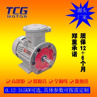 厂家直供YBX3防爆电机4极 三相隔爆型电动机 11kw 塑料风扇通风图2