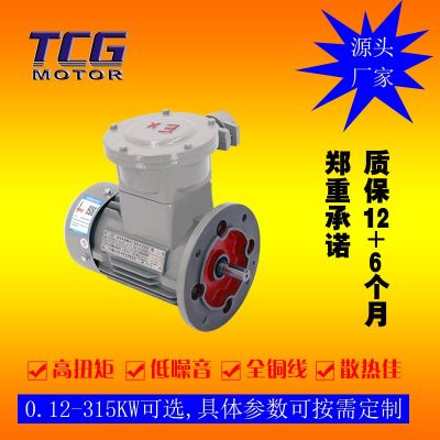 厂家直供YBX3防爆电机4极 三相隔爆型电动机 11kw 塑料风扇通风图4