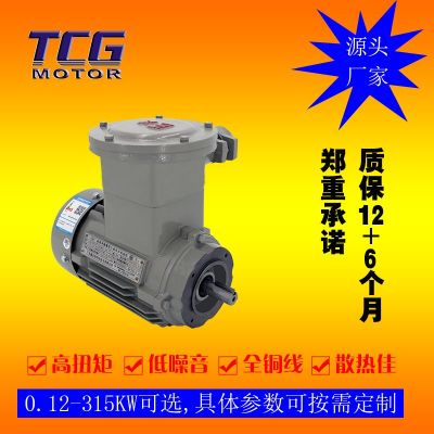 厂家直供YBX3防爆电机4极 三相隔爆型电动机 11kw 塑料风扇通风图3