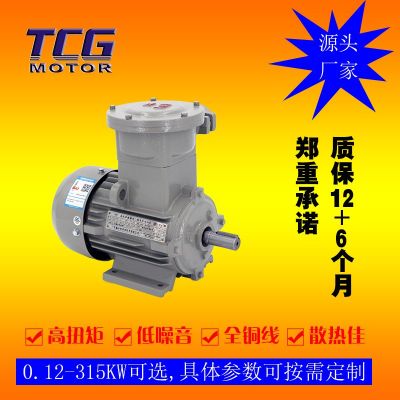 厂家直供YBX3防爆电机4极 三相隔爆型电动机 11kw 塑料风扇通风图5