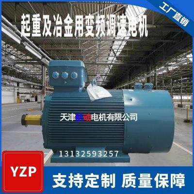 YZP 315L3-6/160KW起重及冶金用变频调速三相异步电动机图2