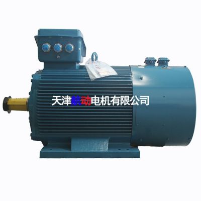 YZP 315L3-6/160KW起重及冶金用变频调速三相异步电动机图3