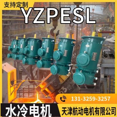 重型机械用水冷耐高温电机 专业耐高温 YZPSL225M-2/45KW图4