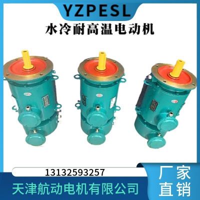 重型机械用水冷耐高温电机 专业耐高温 YZPSL225M-2/45KW图3